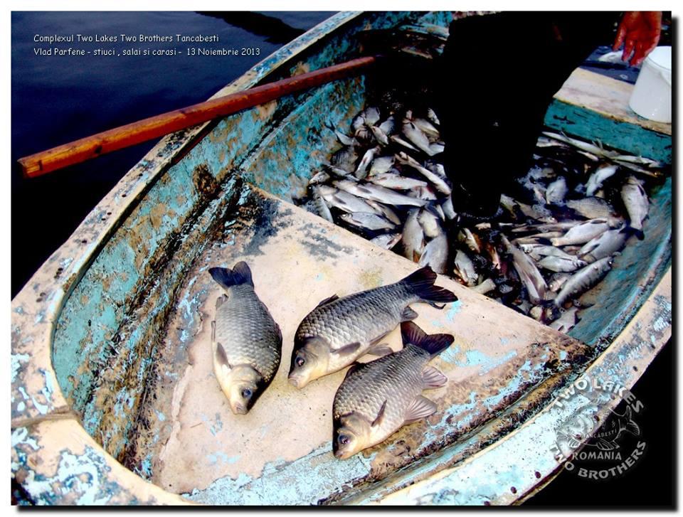 Two Lakes Two Brothers Tancabesti. - 13939784868952980908791281957488n.jpg